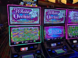 Lucky Twins game dashboard on eropa slot showing betting controls and balance tracker